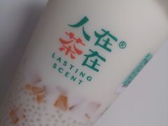芒椰西米露-人在茶在(华南店)