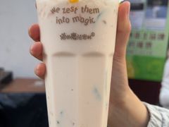 -猫的魔法密林(衣裳街店)