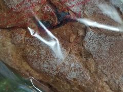 -BREAD WAY面包路·欧式面包(龙湖时代D馆店)
