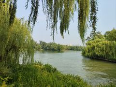 -济南大明湖景区
