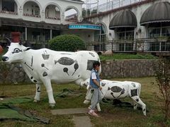 -紫颐香薰山谷景区