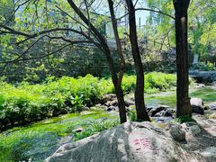 -玉渡山自然风景区