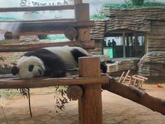 -西霞口神雕山野生动物世界