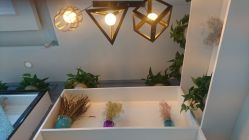 -DL HAIR SALON