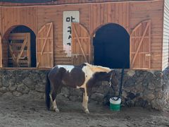 -HERRE·FARM 赫尔露营农场·团建聚会包场