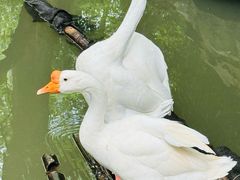 -兰亭风景区