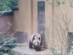 -杭州动物园