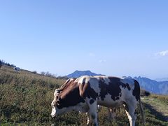 -灵山