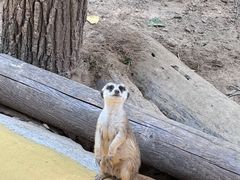 -北京野生动物园