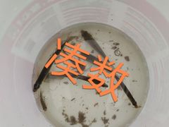 -烤匠麻辣烤鱼(万象城店)