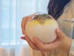 -肆月河豚·淮扬菜·湘菜(华天店)