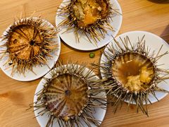 -海胆小馆(东北水饺·春柳店)