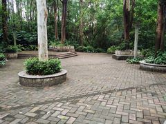 -南岗山公园