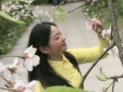 -南山植物园