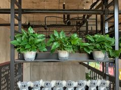 -了不起的考拉咖啡店(高新店)