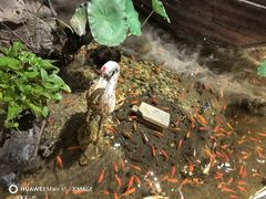 -苏浙徽·江南荟·本味融合菜(相城方圆里店)