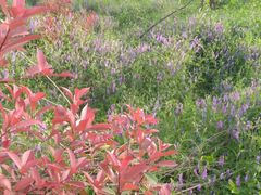 -南京市江宁方山