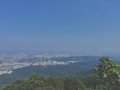 -紫金山山顶公园