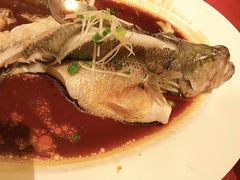 豉油皇蒸鲈鱼-豪廷轩中餐厅·特色云南菜(温德姆至尊豪廷大酒店)