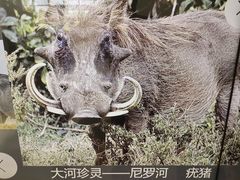 -长江文明馆