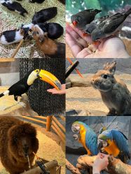 -Zoolung Zoolung动物主题公园(海信广场店)