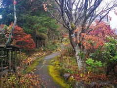 -比叡山