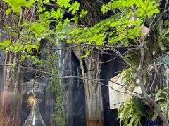 -循礼门鲜花花市(武汉循礼门店)