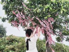 -瑞安圣井山景区