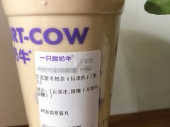 -一只酸奶牛(春熙路店)