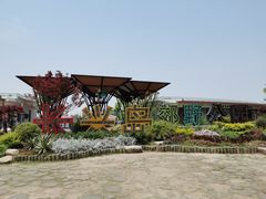 -上海长兴岛郊野公园