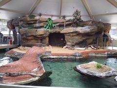 -悉尼海洋生物水族馆