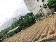 -大地土窑菜馆·特色罗浮农家菜(罗浮山景区店)