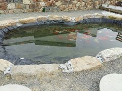 -田园东方蜜桃村的田野营地