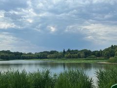 -北京麋鹿生态实验中心