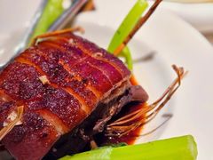 东坡草扎肉-桂满陇天书(南京德基旗舰店)