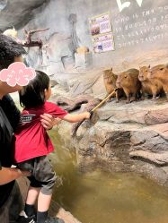 -Zoolung Zoolung动物主题公园(海信广场店)