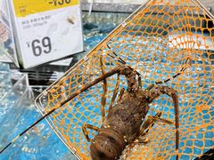 -盒马鲜生(岭南新世界店)