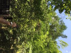 藏龙百瀑-藏龙百瀑风景区