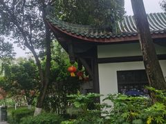 -桂湖森林公园