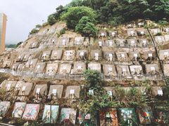 -香港大学