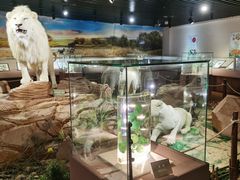 -陕西自然博物馆