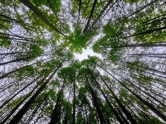 -桤木河湿地公园