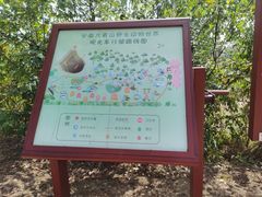 -安徽大青山野生动物世界