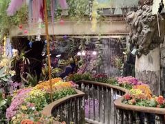 -正佳雨林生态植物园