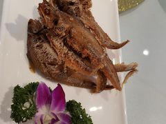 老上海烤子鱼-老人和饭店(淮海中路店)