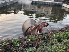 -合肥野生动物园