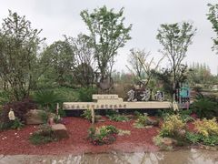 -上海长兴岛郊野公园