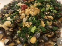 -大树下饭店(春晓镇慈岙社区卫生服务站南)