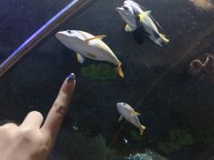 -大连圣亚海洋世界