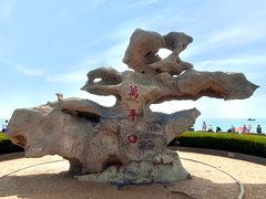 -日照海滨国家森林公园